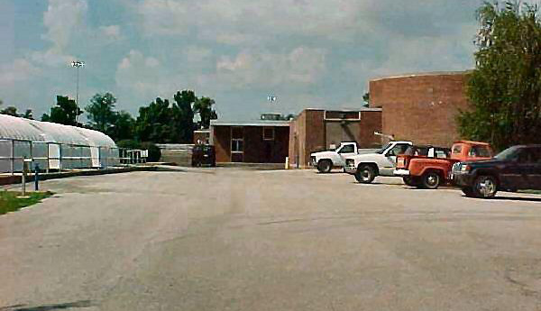 hammond-wood